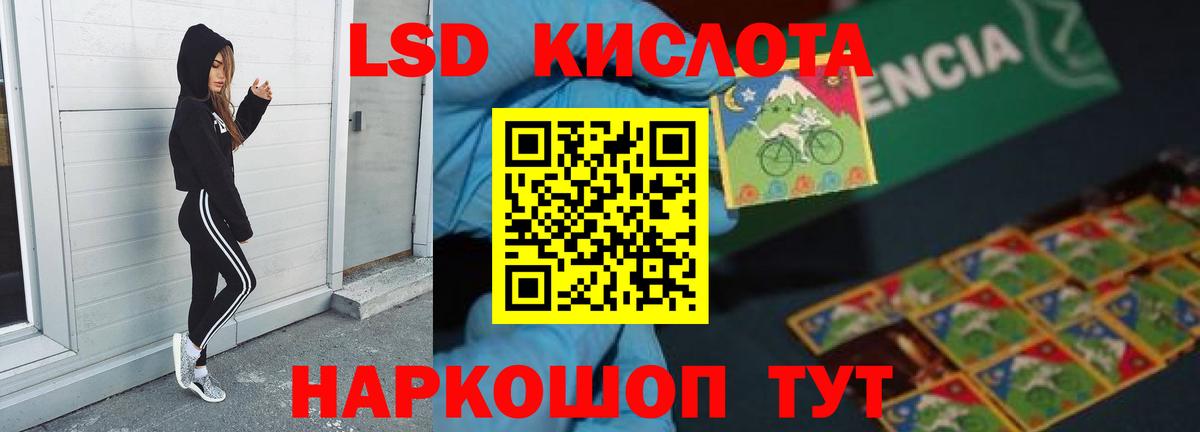 Псилоцибиновые грибы Кумертау