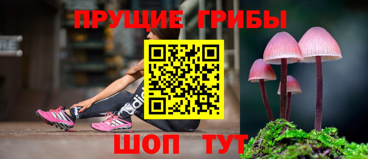 Кумертау  Псилоцибиновые грибы Cubensis  Вход с VPN 